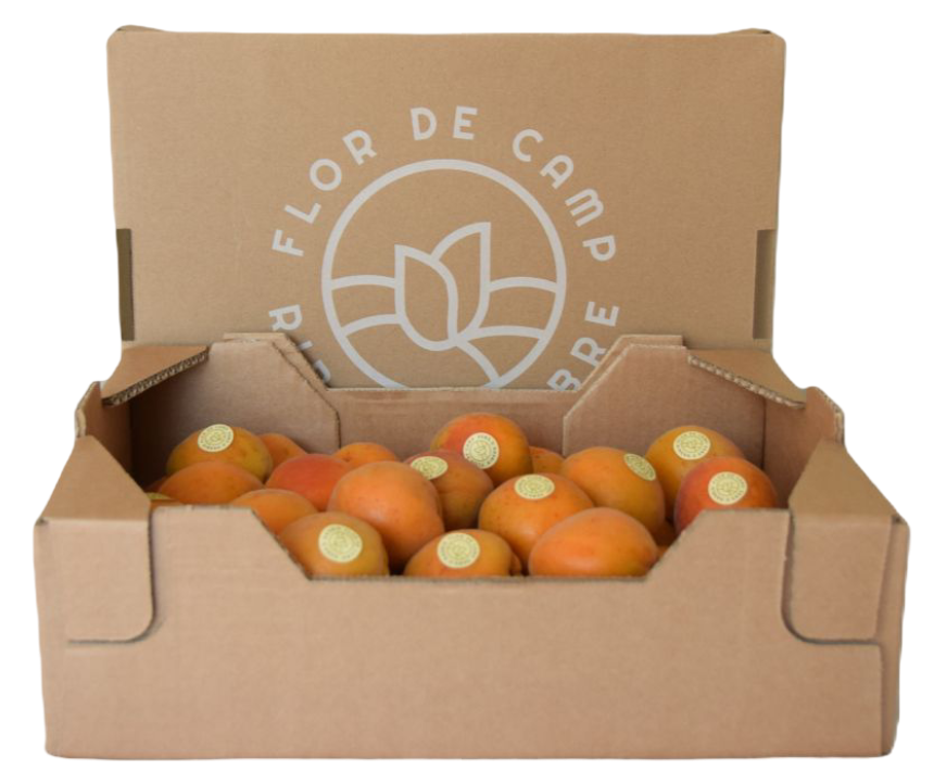 Fotografia d'una caixa d'albercocs amb l'etiqueta de Flor de Camp, Ribera d'Ebre.