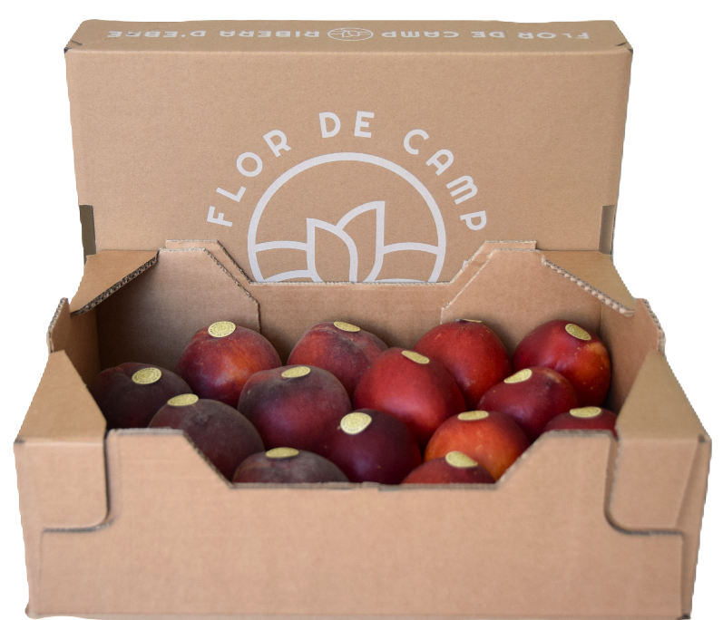 Fotografia d'una caixa de préssecs i nectarines amb l'etiqueta de Flor de Camp, Ribera d'Ebre.